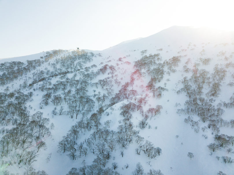 Tree skiing and powder bowls off the peak