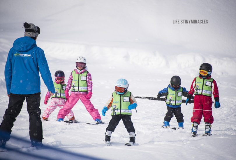 Go Snow Niseko50